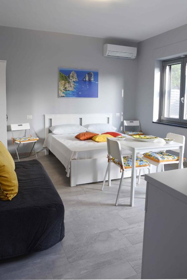 Studio Apartment Angelo - Free Private Parking サルノ エクステリア 写真